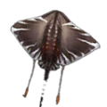 Thumbnail for version as of 08:58, 27 October 2026
