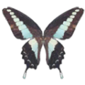 Thumbnail for version as of 08:57, 27 October 2026