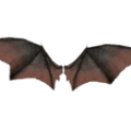 Thumbnail for version as of 08:58, 27 October 2026