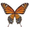 Thumbnail for version as of 08:57, 27 October 2026