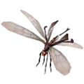 Thumbnail for version as of 08:57, 27 October 2026
