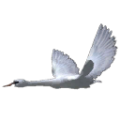 Thumbnail for version as of 08:57, 27 October 2026
