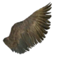 Thumbnail for version as of 08:58, 27 October 2026